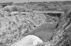 A view of Mohali’s sewerage treatment plant.