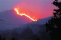 Fire spreading in Rajaji park area in Haridwar.