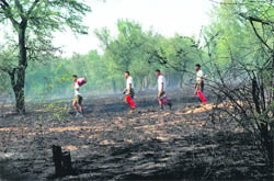Army jawans return after extinguishing the fire that broke out in the Bathinda Cantonment