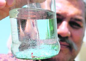 A resident of Young Dwellers Society, Sector 49, shows worms in the water supplied by the municipal corporation in Chandigarh
