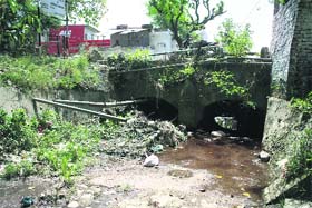 A clogged irrigation canal at RS Pura
