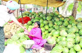 As temperature rises, a girl sells watermelons at BRS Nagar in Ludhiana