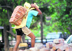 A labourer goes about his job as usual on International Labour Day in Karnal on Friday.