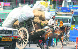 An overloaded horse-cart in Jammu.