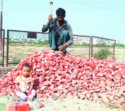 A labourer works hard under the scorching sun along with his child to make both ends meet on May Day in Ludhiana.
