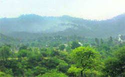 A fire rages in the Kalidhar forest near Sunderbani.