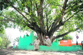 Villagers sit under a shady tree at a village chaupal in RS Pura