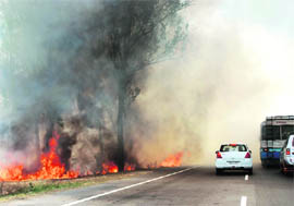 Even as the district authorities have imposed a ban on the burning of stubble, a field along the NH-1 in Kurukshetra testifies that farmers continue to flout the order with impunity.