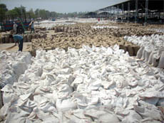 Nearly 14 lakh bags of wheat wait to be lifted in the New Grain Market in Abohar. 
