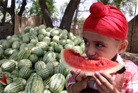 A child eats watermelon to get some relief on a hot Sunday afternoon in Bathinda.