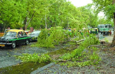 Branches of trees lie on Janpath Road after a thunderstorm lashed New Delhi in the evening bringing relief from the scorching heat on Sunday