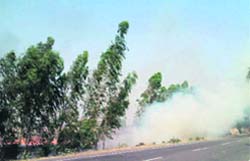 Wheat stubble put on fire in a field near Kotli village in Sirsa