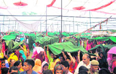 BJP workers holding covers to shield themselves from rain during an election meeting at Bhangrotu in Mandi district on Monday. The meeting was addressed by top BJP leader Narendra Modi.