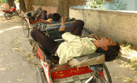 Rickshaw-pullers take a nap near Circuit House in Jalandhar.
