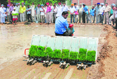 A demonstration of paddy transplanting machine under way in Jalandhar.