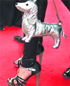 A guest with a dog-shaped handbag arrives for the screening of a film at Cannes.
