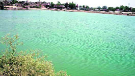 The flooded site which was selected for the construction of an ITI at Kalayat in Kaithal district.