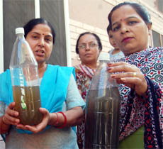 Residents show the contaminated water in Amritsar.