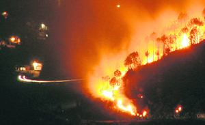 Trees on the slopes of Totu forest burn during a forest fire on the outskirts of Shimla on Tuesday.