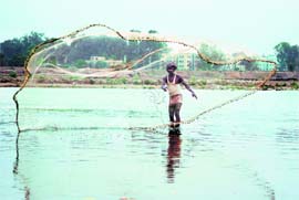 A fisherman spreads his net amidst blistering heat in the Tawi in Jammu.