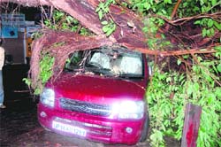 A car that was crushed by a tree at Avdhoot Ashram area in Haridwar on Tuesday night after strong winds lashed the city. 