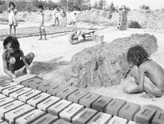 Two children prepare bricks at a kiln near Kanoli village in Panchkula on Thursday.