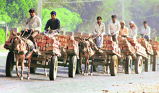 A cavalcade of carts carries bricks through a connecting road on the outskirts of Nuh district.