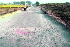 The deserted Chhappar road that leads to Ahmedgarh.