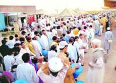 Displaced Pakistani men line up as they wait for donated food during a distribution at the Chota Lahore refugee camp, at Swabi, in northwest Pakistan, on Thursday