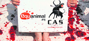An animal rights activist covered in fake blood from the group "Igualdad Animal" (Animal Equality) holds a placard during a demonstration calling for the abolition of bullfights outside Madrid's Las Ventas bull-ring on Sunday.