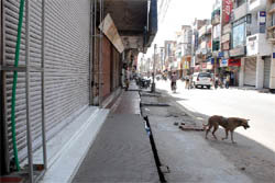 Markets wear a deserted look in Bathinda following the bandh call by Dalit activists on Monday.