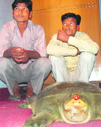  Two poachers in the custody of the Uttarakhand police.