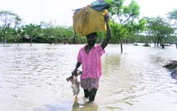 A villager carries his belongings through flood waters in Sathkhira village, about 400 km from Dhaka