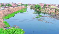 A view of the Buddha Nullah that has become a blot for the industrial city of Ludhiana