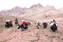 Indian traders on their way to Taklakot Mandi in Tibet.