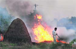 Despite a ban, villagers continue to burn stubble in Karnal district.
