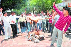 ABVP activists burn effigy of the Australian Prime Minister in Haridwar on Tuesday.