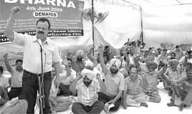 Members of the Punjab Bank Employees Federation hold a dharna in Patiala on Thursday.