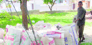 Bags filled with polythene garbage collected at the forest division office, Dehradun.