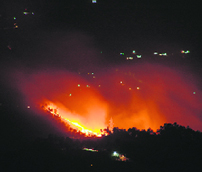 Trees burn on a slope during a forest fire near Jubbar Hatti Airport on the outskirts of Shimla on Wednesday.