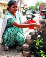 I CARE: A young girl waters her plants on World Environment Day in Amritsar.