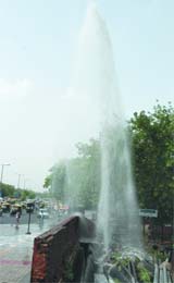 A broken sewage pipe throws up dirty water 