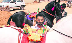 Deepa with his horses at his stud farm at Gill village.