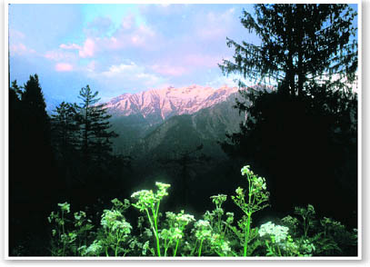 A view of the Great Himalayan National Park