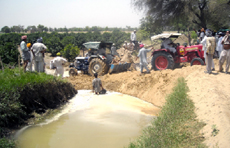 Farmers trying to plug the breach in Ramsara sub-canal near Abohar on Sunday.