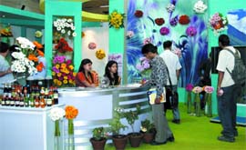 Visitiors admire the stall of Uttarakhand at the international Horti Expo 2009 in Pragati Maidan, New Delhi, on Sunday