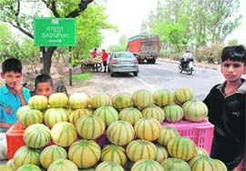 A fruit vendor sells muskmelon along the GT Road. Parking of vehicles in a haphazard manner along the GT Road to purchase fruits poses a threat to motorists.