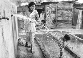 Water flows freely in the absence of a tap nozzle at Pandit Colony in Sector 52, Chandigarh