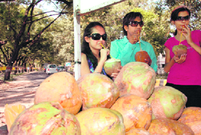 Youngsters sip coconut water at Rajpur road to beat the scorching heat in Dehradun on Tuesday.