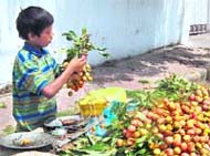A child sells litchis while another stitches leather pieces for a living. 